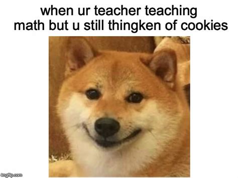 shiba inu Memes & GIFs - Imgflip