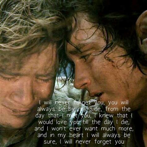 1279 best images about Frodo and Sam on Pinterest | Friendship, The end ...