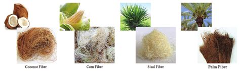 Different types of natural fibers. a b c d | Download Scientific Diagram