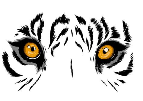 vector illustration Tiger Eyes Mascot Graphic in white background ...