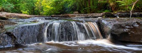 Slieve Bloom Mountains | Best Hikes in Ireland | Biking Ireland