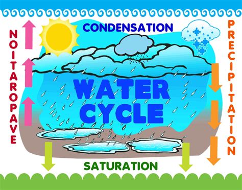 Make a Science Fair Project | Poster Ideas - Water Cycle | Weather ...