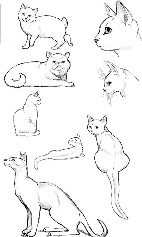 22 best Cat character design images on Pinterest | Cat character, Character design and Character ...