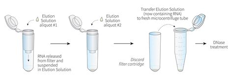 Pancreatic Islet RNA Extraction