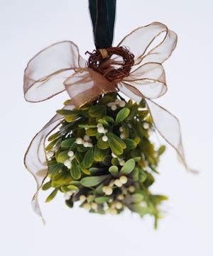 Mistletoe a controversial choice for Oklahoma state flower