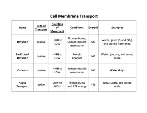 Chapter 7 Cell Structure & Function - Pre-Aice Biology