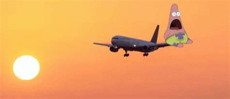 Patirck On A Plane GIF - Spongebob Airplane - Discover & Share GIFs | Destination marketing ...