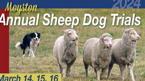 Moyston Annual Sheep Dog Trials | Ararat