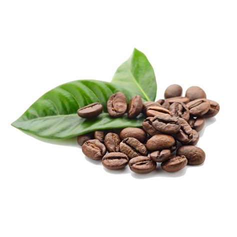 Coffee Beans Free PNG Image | PNG All