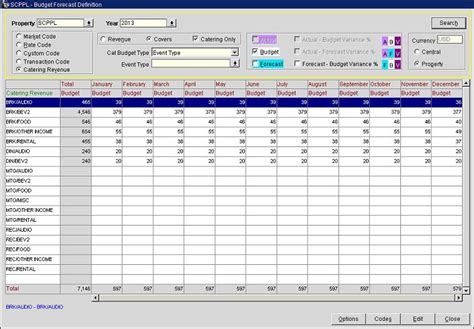 Budget Forecasting Template For Your Needs