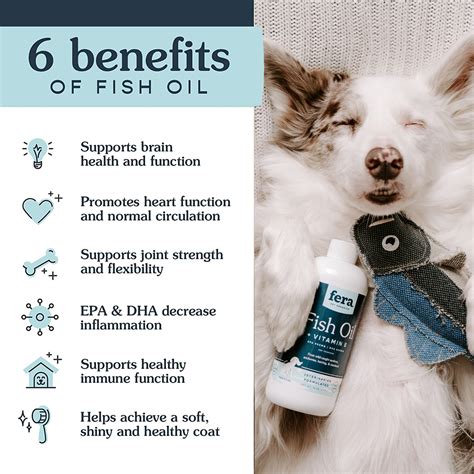 Fish Oil Benefits For Dogs | ubicaciondepersonas.cdmx.gob.mx