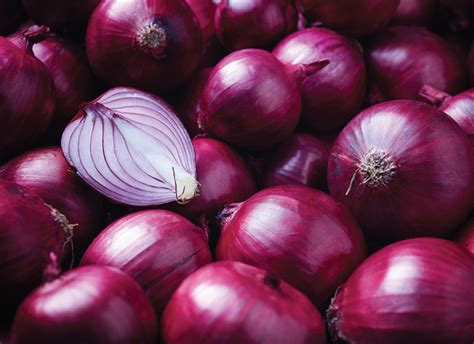 Red Onion - Foodex