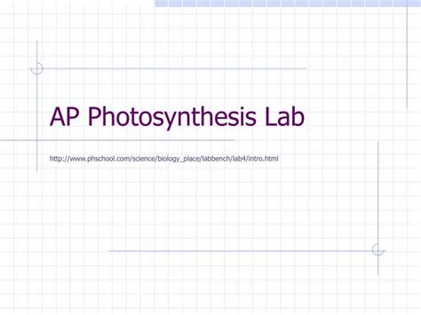 PPT - AP Photosynthesis Lab PowerPoint Presentation, free download - ID:313526