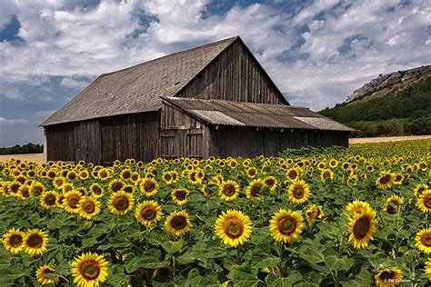 Simple and Beautiful, Australian Countryside | Country landscaping, Country life, Countryside