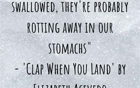 All of Literature's A Stage: Review of 'Clap When You Land' by Elizabeth Acevedo