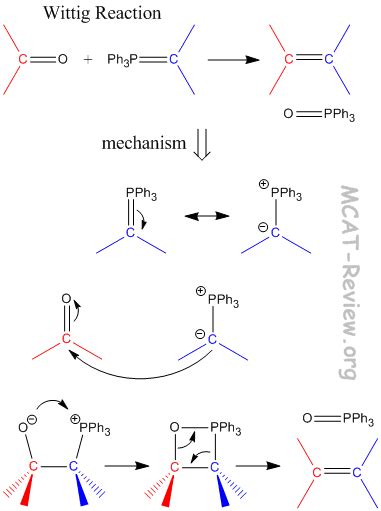 Phosphorus Compounds - Biological Molecules - MCAT Review