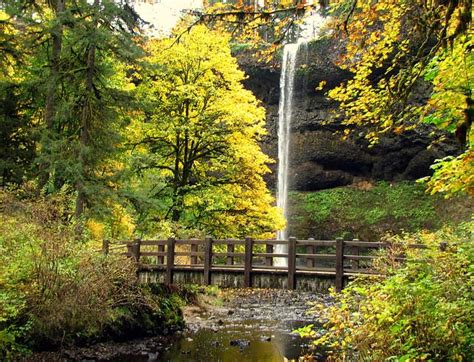 CAMP & HIKE: Silver Falls State Park | Northwest TripFinder