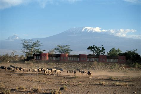 Amboseli Serena Safari Lodge - Achieve Global Safaris