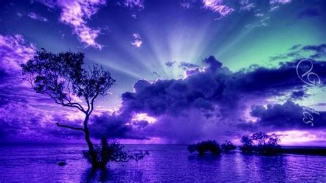 Purple Heaven (via saffron606) | cool stuff | Pinterest | Heavens and Purple