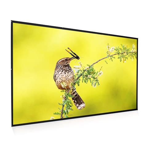 Amazon.com: 100" White Fabric Matte 16:9 Wall Mounted Projection Screen PVC Portable Home ...