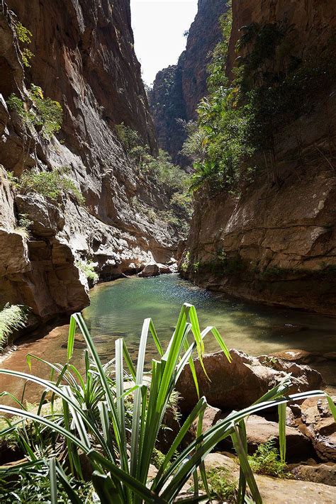 Isalo National Park | National parks, Park, Indian ocean