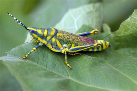 Yamuna Biodiversity Park | Sahapedia