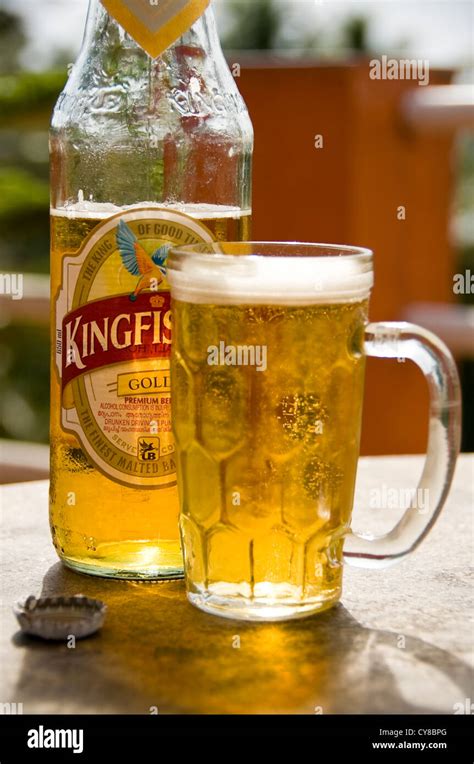 Kingfisher Beer Wallpaper