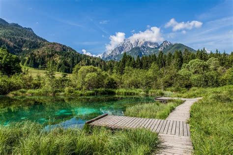 All You Need To Know To Visit The Zelenci Nature Reserve In Slovenia