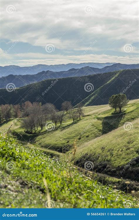 Castaic Lake Hiking Trail stock image. Image of trees - 56654261