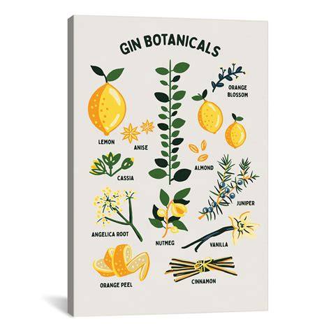 Botanical Gin Chart (12"W x 18"H x 0.75"D) - Whiskey Ginger - Touch of ...