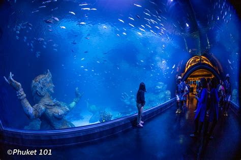 Aquaria Just Opened The World's Largest Underwater Restaurant In Phuket