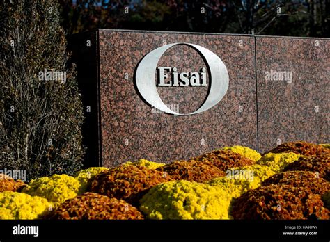 A logo sign outside of a facility occupied by Eisai Pharmaceuticals in Woodcliff Lake, New ...