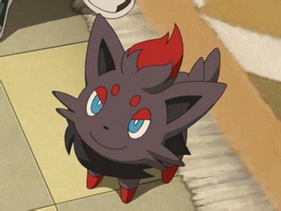 Zorua - Character (26858) - AniDB