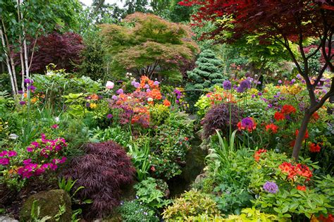 Photos England Walsall Garden Nature Gardens Rhododendron Bush