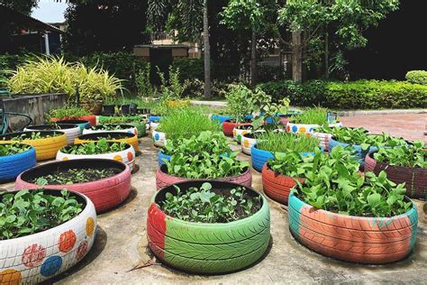 How to Start a Vegetable Garden using Old Tires