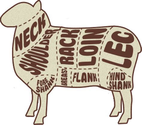 Guide To Lamb Meat Cuts | Steaks and Game