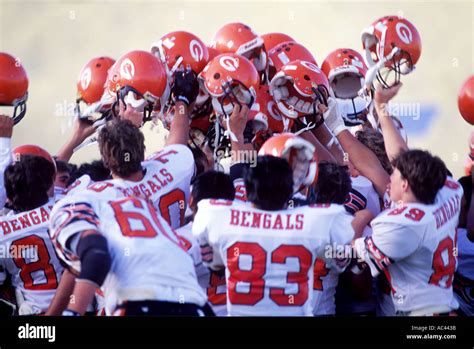 High school football team celebrating victory Stock Photo, Royalty Free ...