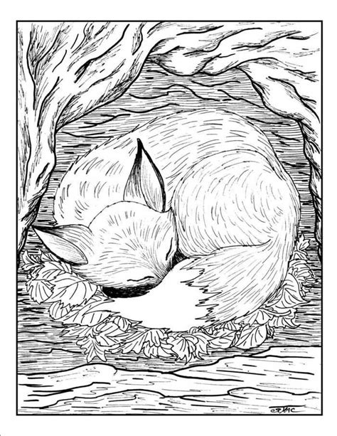 Free Printable Fox Coloring Pages Pdf - Coloringfolder.com | Fox coloring page, Coloring pages ...