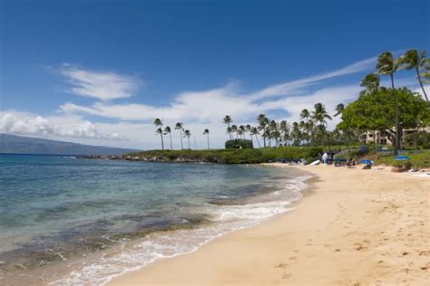 Kapalua Bay Snorkeling Guide - Maui Hideaway