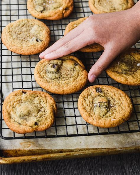 Malted Chocolate Chip Cookies | The Subversive Table