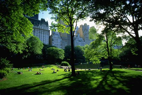 People on park near high-rise buildings at daytime, architecture, Central Park, New York City ...