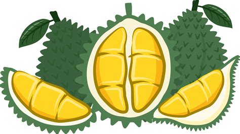 frutti della raccolta durian 8506991 PNG