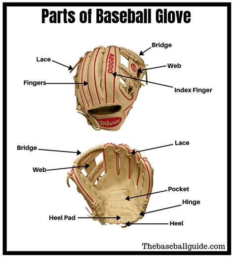 How To Measure Hand Size For Baseball Gloves - Images Gloves and Descriptions Nightuplife.Com