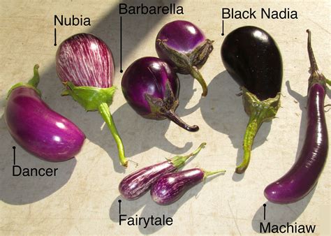 Eggplant types | Edible Gardening | Pinterest | Eggplants, Food and Recipes