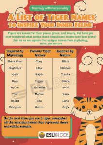 Tiger Names: Discover the Best Names for Your Feline Friend! - ESLBUZZ