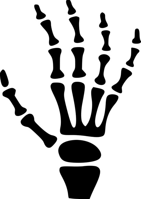 Carpal bones Human skeleton Hand - hand png download - 696*980 - Free Transparent Bone png ...