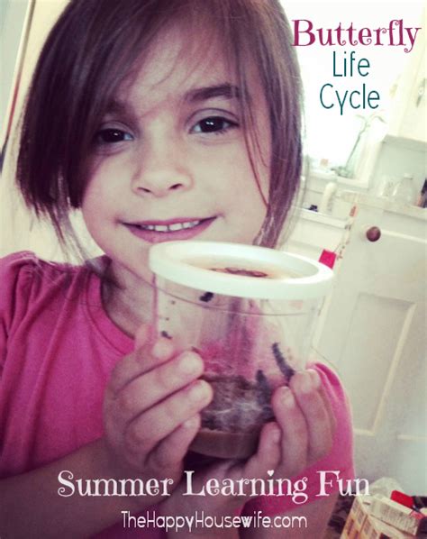 Butterfly Life Cycle Learning Fun - The Happy Housewife™ :: Home Schooling