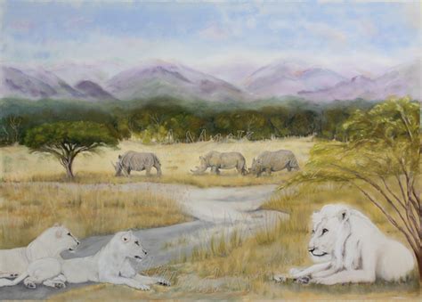 African Wildlife Art | Judith MacKay Animal Artist