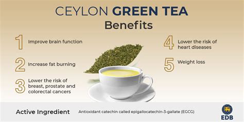 Benefits of Ceylon Green Tea - FAQs on Ceylon Tea