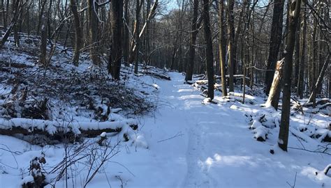 A Winter Walk in the Woods – Wildlife Leadership Academy